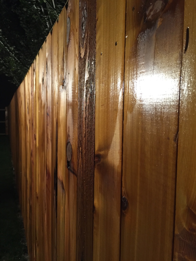 Fence in the Dark